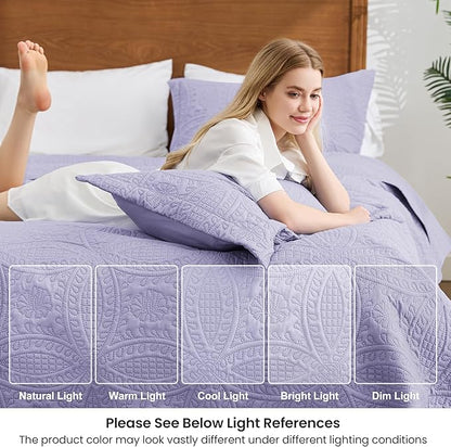 Love's cabin Quilts for Queen Bed Lavender Bedspreads Bedding Set - Lightweight Bedspread Comforter - Coin Pattern Bedding Coverlet for All Season - 3 Pieces (1 Quilt, 2 Pillow Shams)