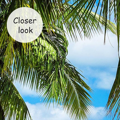 AFZEVEB-Beach Wall Mural Tropical Palm Tree Landscape Wallpaper for Bedroom 159"x107"(Not Peel and Stick)
