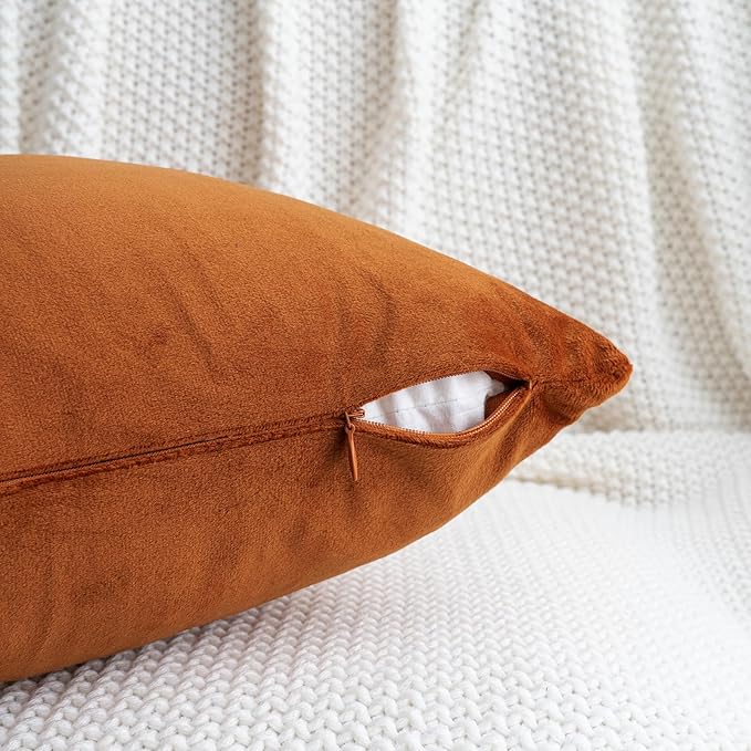 HWY 50 Burnt Orange Velvet Throw Pillow Covers 20x20 Inch, Pack of 2 Soft Cozy Solid Decorative Luxury Fall Cushion Cases for Couch Sofa Bed Living Room Bedroom