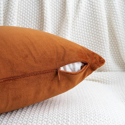 HWY 50 Burnt Orange Velvet Throw Pillow Covers 20x20 Inch, Pack of 2 Soft Cozy Solid Decorative Luxury Fall Cushion Cases for Couch Sofa Bed Living Room Bedroom