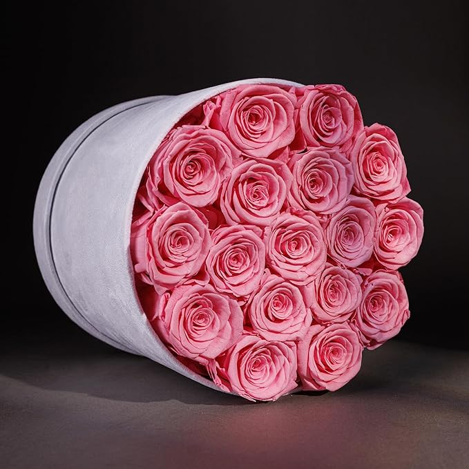 17 Flowers in a Luxury Suede Box, Birthday Gifts for Women, Preserved Flowers, Mothers Day Roses Gift for Mom, Light Pink