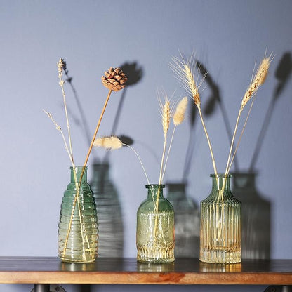 Joeyan Small Embossed Glass Bud Vase Set of 3,Green and Amber Colored Rustic Decorative Vase for Single Flower and Dry Flowers