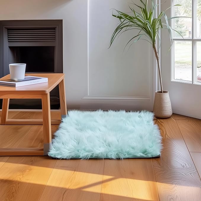 2 x 3 ft Fluffy Mint Green Rug – Soft Faux Fur Rug for Bedroom, Living Room, or Entryway – Cozy Faux Sheepskin Accent for Home Decor