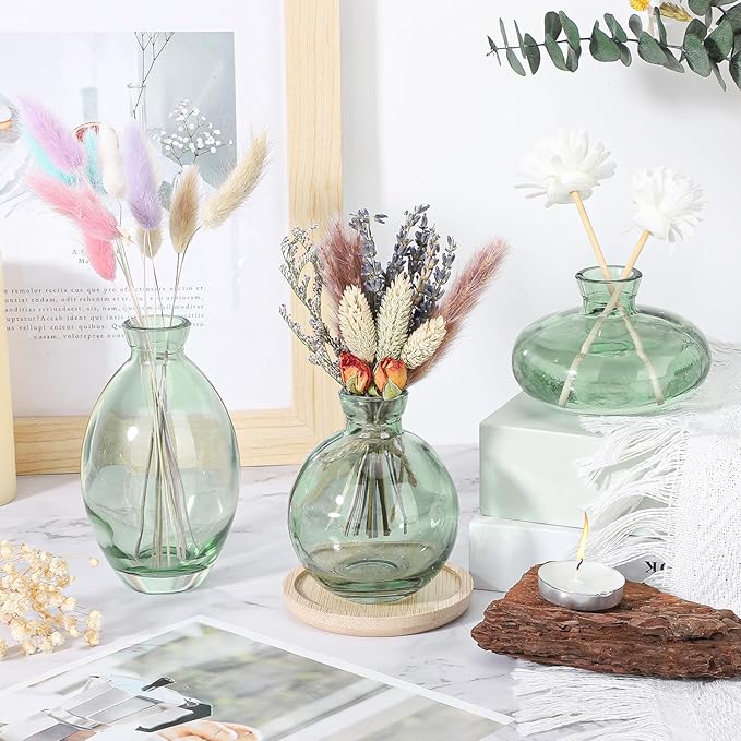 Suream Green Small Flower Vase, Set of 3 Cute Vase for Minimalist Decor, Glass Bud Vases for Home Table Flower Decoration