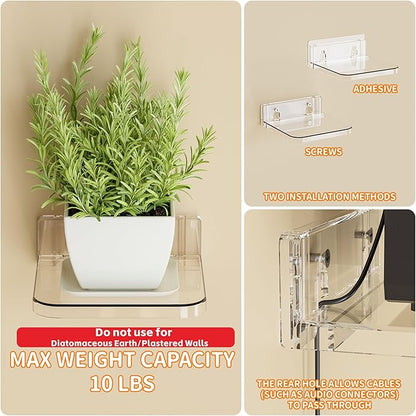 Yieach 5 Inch Mini Shelf for Wall,4 Pack No Drilling Small Adhesive Shelf,Plant Shelves Indoor,Small Acrylic Floating Shelves for Wall and Display Ledges Picture,Funko,Anime Figure,Figurine,Clear