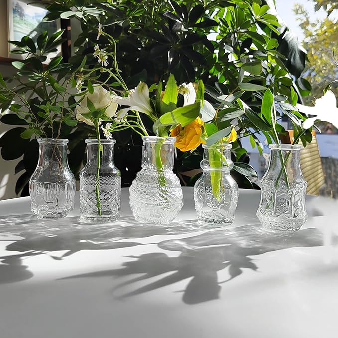 Glass Bud Vase Clear - Mini Vases 10Pcs/Set Bud Vases for Flowers Cute Clear Vintage Small Glass Vases Bud vases in Bulk for Decor, Home Table Centerpieces, Dinning, Wedding