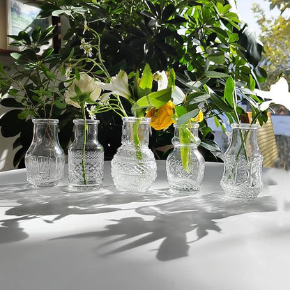 Glass Bud Vase Clear - Mini Vases 10Pcs/Set Bud Vases for Flowers Cute Clear Vintage Small Glass Vases Bud vases in Bulk for Decor, Home Table Centerpieces, Dinning, Wedding