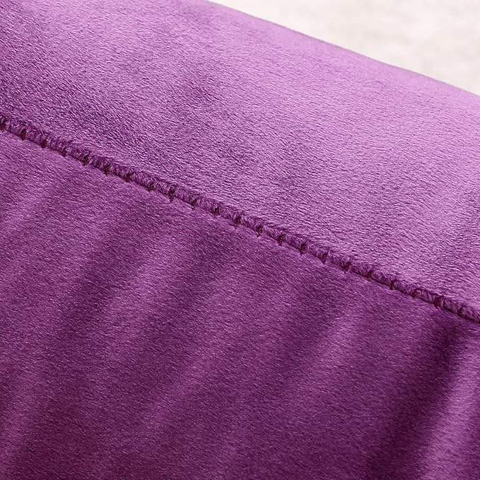 NiNi ALL Decorative Throw Pillow Covers Velvet Soft for Couch Sofa Bedroom Living Room Outdoor Pack of 2 20x20 Inch Purple