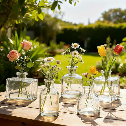 5 Pcs Glass Bud Vases Set, Mini Vintage Bulk Clear Vases for Centerpieces Decor, Cute Tiny Glass Flower Vases for Wedding Party Home Table Decoration