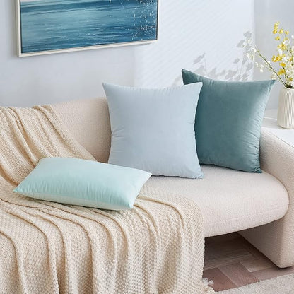 EMEMA Pack of 2 Velvet Pillow Covers Decorative Rectangle Pillowcase Soft Solid Cushion Case for Sofa Bedroom Car 12x20 Inch Baby Blue