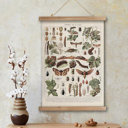 XIAOAIKA Vintage Vineyard Pests Identification Chart - Rustic Wall Hanging Educational Poster with Wooden Scroll Frame - Ideal for Wine Enthusiasts and Gardeners 20 x 30 Inches