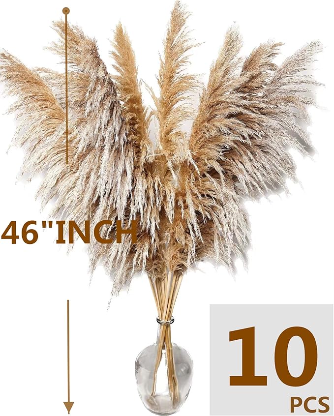 Natural Pampas Grass Decor Tall, Pompas Grass, Tall Pampas Grass for Weddingm, Farmhouse, Boho Home Decor (Brown)