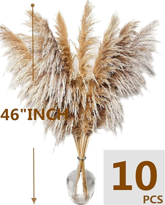 Natural Pampas Grass Decor Tall, Pompas Grass, Tall Pampas Grass for Weddingm, Farmhouse, Boho Home Decor (Brown)