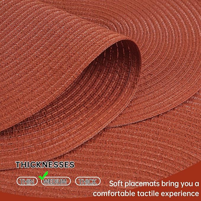 Noctiflorous Oval Braided Placemats Set of 4 Woven 12x18 Inch Non Slip Washable Heat Resistant Place Mats Round Tablemats for Dining Kitchen Party Daily Table Decor Dinner Mats (Solid Rust Orange, 4)