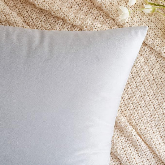 EMEMA Pack of 2 Velvet Pillow Covers Decorative Square Pillowcase Soft Solid Cushion Case for Sofa Bedroom Car 20x20 Inch Greyish White