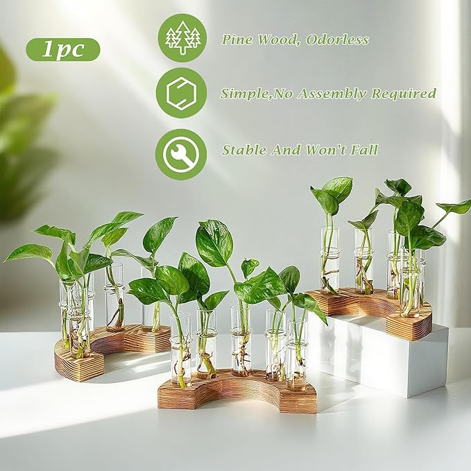 Plant Propagation Station with Wooden Stand, Valentines Day Gift, Glass Propagation Vase for Plants, Plant Terrarium Birthday Gifts for Women Mom Plants Lovers, Home Office Garden Decor, 5 Glass Tubes