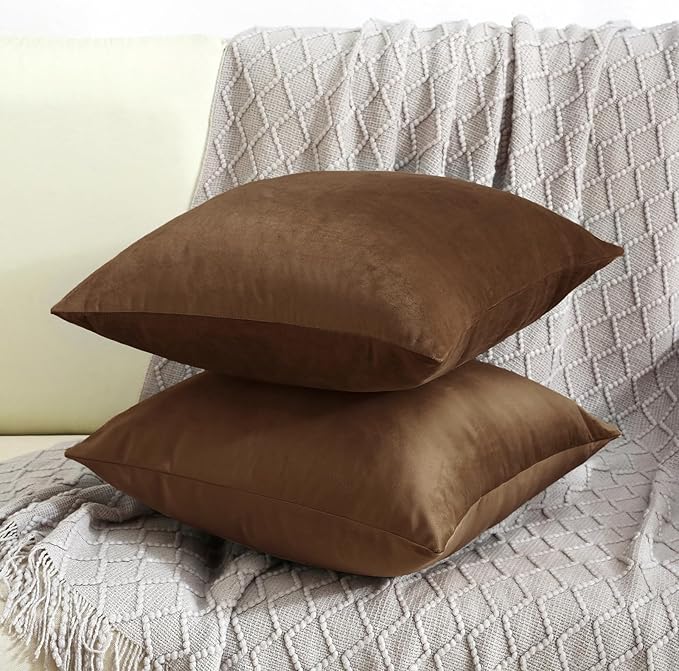 Jeneoo Velvet Throw Pillow Covers 18x18 Inch 2 Pack, Super Soft Thick Decorative Square Cushion Cases for Sofa Couch Bedroom Car, Bear Brown
