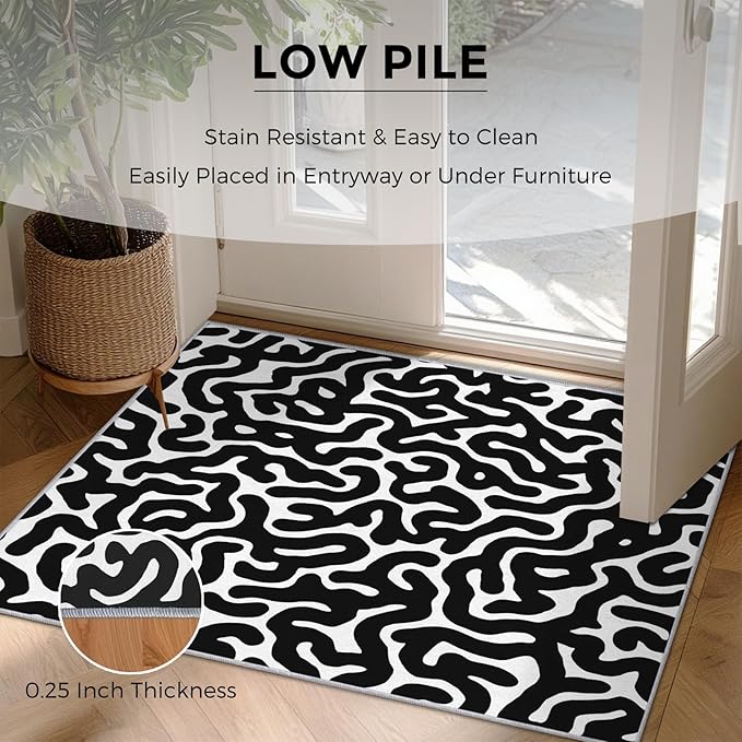 3x5 Black Abstract Line Rugs for Bedroom Decor, Washable Abstract Maze Pattern Area Rug, Living Room Home Decoration, Non Slip Soft Thin, Black and White Decor Carpet PF-P 56