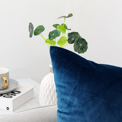 NiNi ALL Decorative Throw Pillow Covers Velvet 24x24 Inch Pack of 2 Blue Cushion Covers Soft for Couch Sofa Bedroom Living Room Outdoor