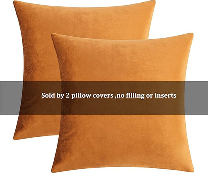 GIGIZAZA Decorative Throw Pillow Covers for Sofa,Cinnamon Burnt Orange Velvet Bed 2 Pack Soft Cushion Cover