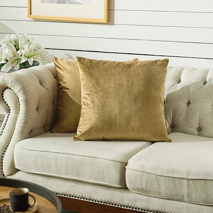 FY FIBER HOUSE Pack of 2 Velvet Throw Pillow Covers Decorative Square Pillowcase Soft Solid Cushion Case for Sofa/Couch Use, 18 x 18 Inch Coffee