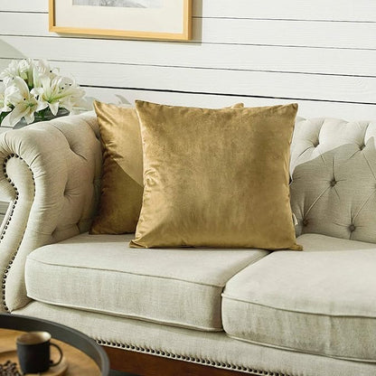 FY FIBER HOUSE Pack of 2 Velvet Throw Pillow Covers Decorative Square Pillowcase Soft Solid Cushion Case for Sofa/Couch Use, 18 x 18 Inch Coffee