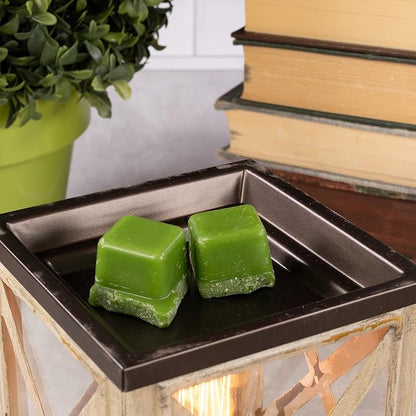 Scentsationals Wax Melt Warmer, Edison Collection Anchorage - Candle Wax Melter for Fragrance Cubes and Tarts