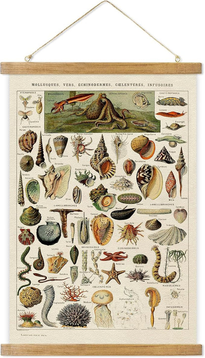 ABoby Vintage Hanging Posters, Decorative Shellfish Wall Art Prints, Printed on Linen with Wood Frames, Ready to Hang