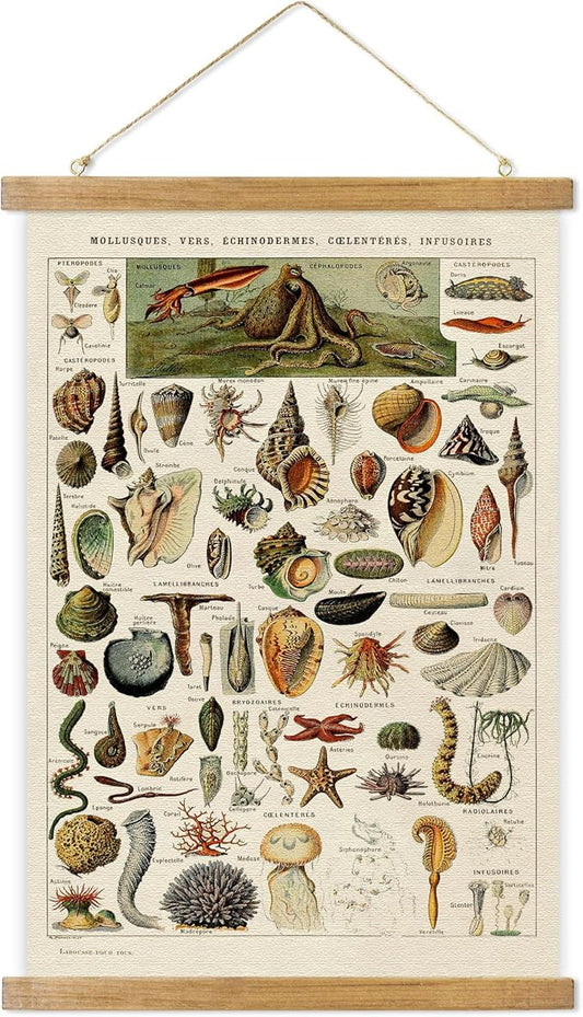 ABoby Vintage Hanging Posters, Decorative Shellfish Wall Art Prints, Printed on Linen with Wood Frames, Ready to Hang