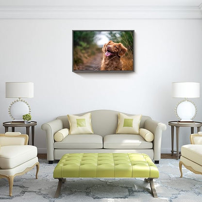 jenesaisquoi Upload Your Photo Image Custom Personalized Photo to Poster Printing Home Decor Wall Art Prints (Black Frame, 16" x 12")