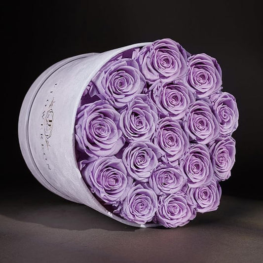 17 Flowers in a Luxury Suede Box, Birthday Gifts for Women, Preserved Flowers, Mothers Day Roses Gift for Mom, Lavender
