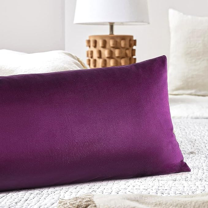 Artscope Luxury Velvet Lumbar Pillow Cover Super Soft Decorative Rectangle Throw Pillow Covers Case Cushion Covers for Sofa Couch Bedroom Car Decor 14x36 Inch Eggplant Purple
