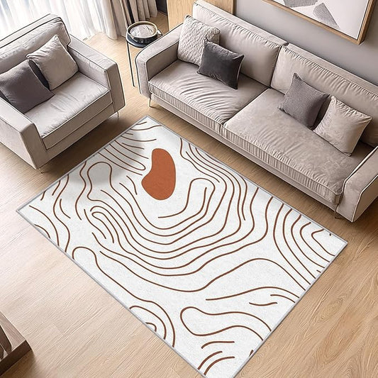 Abstract Rugs for Living Room - Abstract Swirl Area Rug, 4x6 Rug, Minimalist Boho Rug & Home Decor, Line Art Carpet & Room Decor, Washable Non Slip Anti Skid Rugs