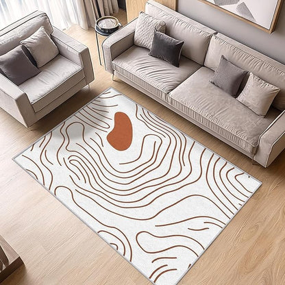 Abstract Rugs for Living Room - Abstract Swirl Area Rug, 3x5 Rug, Minimalist Boho Rug & Home Decor, Line Art Carpet & Room Decor, Washable Non Slip Anti Skid Rugs
