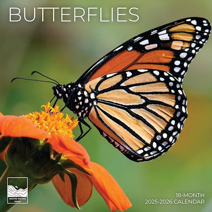 Butterflies Wall Calendar 2026 | 12" x 24" Open | Giftable Nature Calendar 2026 | Thick & Sturdy Paper for Organizing & Planning | Pacific Waters Press (Butterflies)