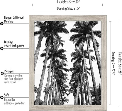 Americanflat 22x28 Poster Frame with Polished Plexiglass - Wide Picture Frames Made of Engineered Wood for Vertical or Horizontal Wall Display - Epic Collection - Driftwood