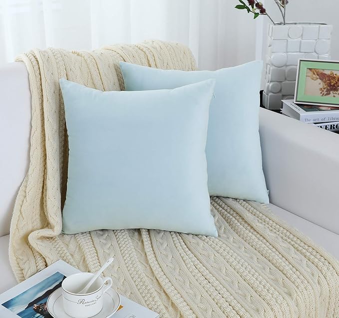 Jeneoo Comfy Soft Velvet Throw Pillow Covers for Sofa Couch Decorative Solid Square Cushion Cases for Bedroom Car (Baby Blue, 20 x 20 Inches, 2 Pieces)