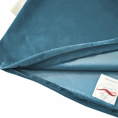 FY FIBER HOUSE Pack of 2 Velvet Throw Pillow Covers Decorative Square Pillowcase Soft Solid Cushion Case for Sofa/Couch Use, 16 x 16 Inch, Light Blue