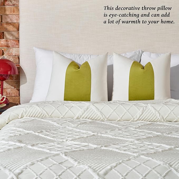 AmHoo Pack of 2 Velvet Panel Cotton Pillow Covers Decorative Pillowcase Cushion for Couch Sofa Bedroom 20 x 20-Inch Spinach Green