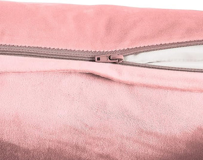 FY FIBER HOUSE Pack of 2 Velvet Throw Pillow Covers Decorative Square Pillowcase Soft Solid Cushion Case for Sofa/Couch Use, 20 x 20 Inch Pink