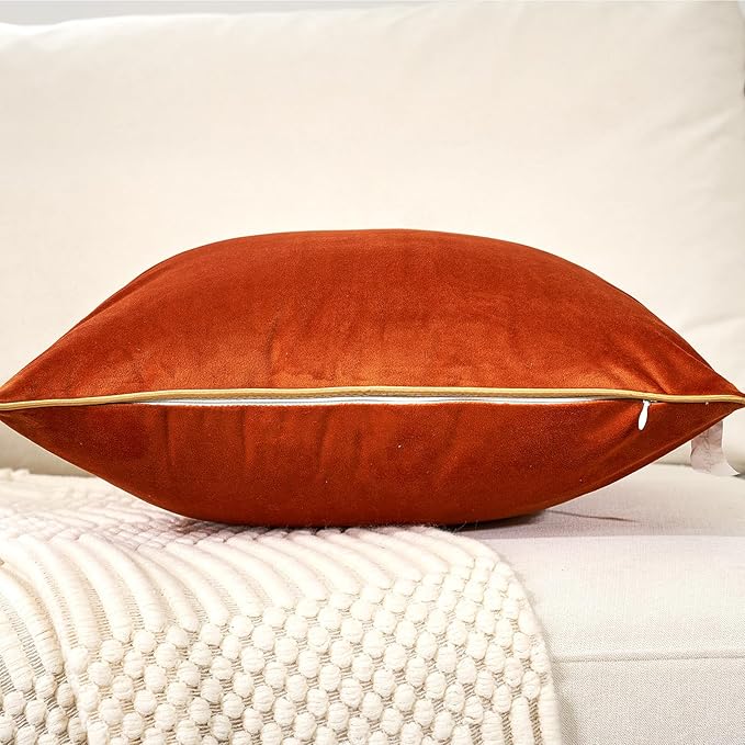 Aeckself Pack of 2 Burnt Orange Velvet Pillow Covers 24 x 24 Inch, Large Modern Luxury Decorative Pillowcase with Gold Trim Edge, Comfortable Soft Solid Cushion Case for Couch Bedroom Living Room