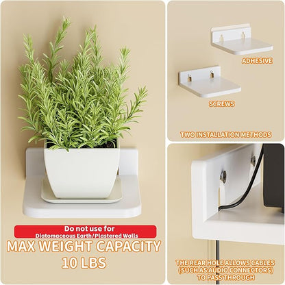 Yieach 5 Inch Mini Shelf for Wall,4 Pack Plant Shelves Indoor,Small Acrylic Floating Shelves for Wall and Display Ledges Picture,Funko,Anime Figure,Figurine,White