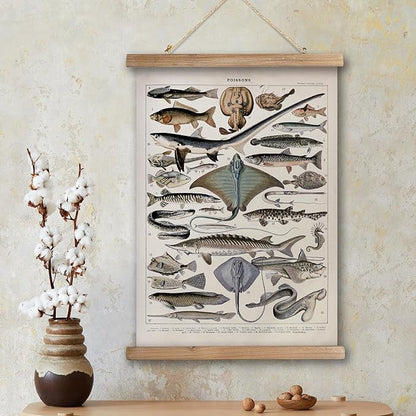 XIAOAIKA Vintage Fish Species Poster - Educational Oceanic Life Chart with Wooden Scroll Frame - Classic Nautical Wall Hanging Decor for Home, Office, or Classroom 16 x 23 Inches