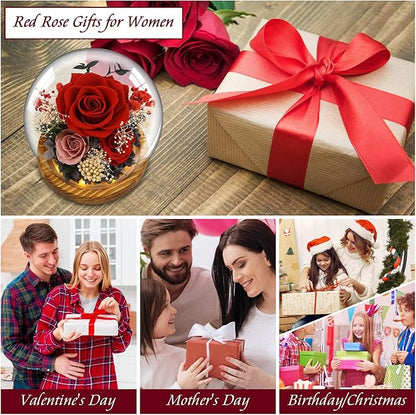 MOKOQI Red Rose Valentines Day Gifts for Her Forever Rose Flowers for Delivery Prime Preserved Flowers in Glass Dome | Birthday Gifts for Women Mom Wife Grandma on Christmas Birthday