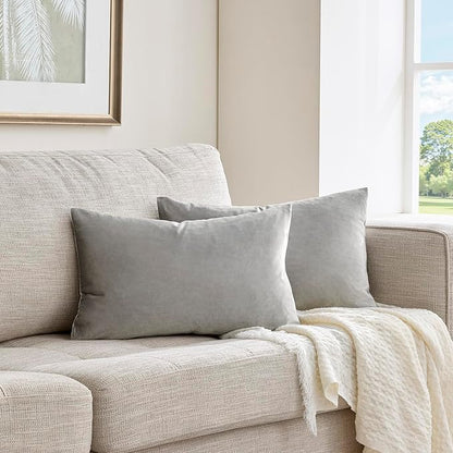 Silver Grey Velvet Decorative Throw Pillow Covers for Sofa Bed 2 Pack Soft Cushion Cover