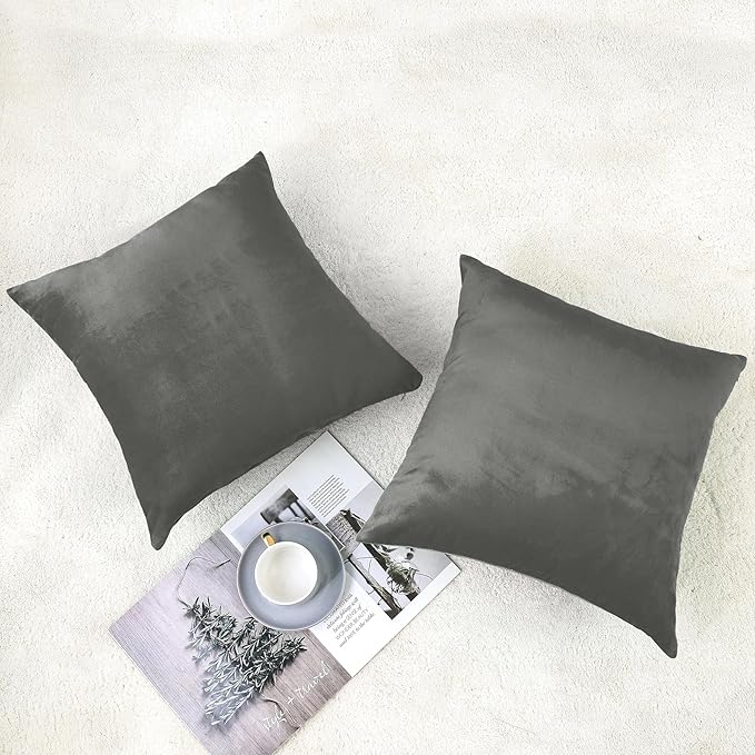 NiNi ALL Decorative Throw Pillow Covers Velvet 18x18 Inch Dark Grey Pack of 2 Cushion Covers Soft for Couch Sofa Bedroom Living Room Outdoor