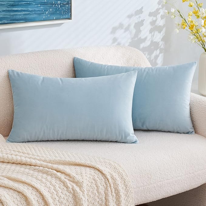 EMEMA Pack of 2 Velvet Pillow Covers Decorative Rectangle Pillowcase Soft Solid Cushion Case for Sofa Bedroom Car 12x20 Inch Baby Blue