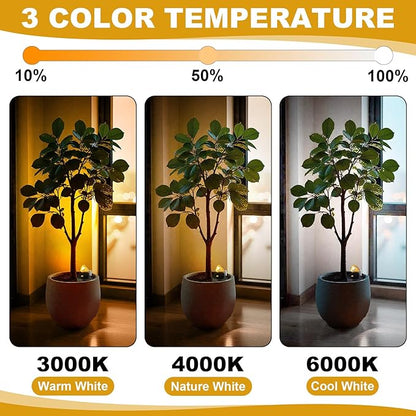 Hortsun 6 Pcs Mini Rechargeable Spotlights with 3 Remote Control Indoor Plant Wireless LED Spot Lights Rotatable Dimmable Accent Picture Lights for Wall Artwork Painting Display (Gold)