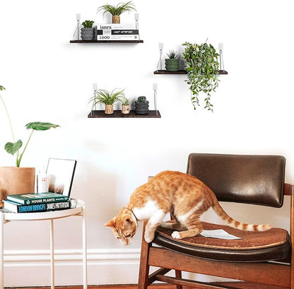 MITIME Floating Shelves Set of 3 Rustic Solid Wood Floating Shelf Wall Storage Shelves for Living Room, Bedroom, Bathroom, Kitchen Laundry, Office.no Drill Shelf(Retro Color L+L+L)