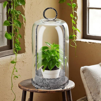12" High Versatile Modern Metal Hurricane Lantern with Handmade Sturdy Glass Dome in Shabby White for Pillar Candle & Plants, Industrial, Farmhouse (White Shabby, 5"x12")